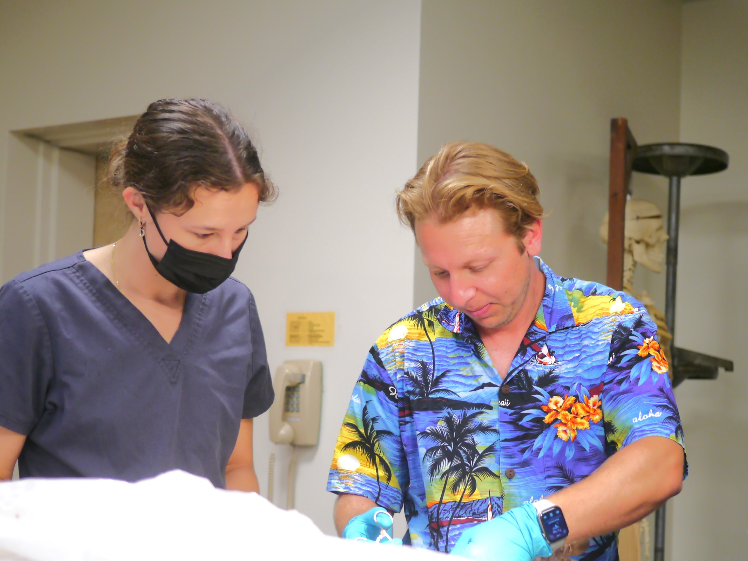 Students Examining the Professors work