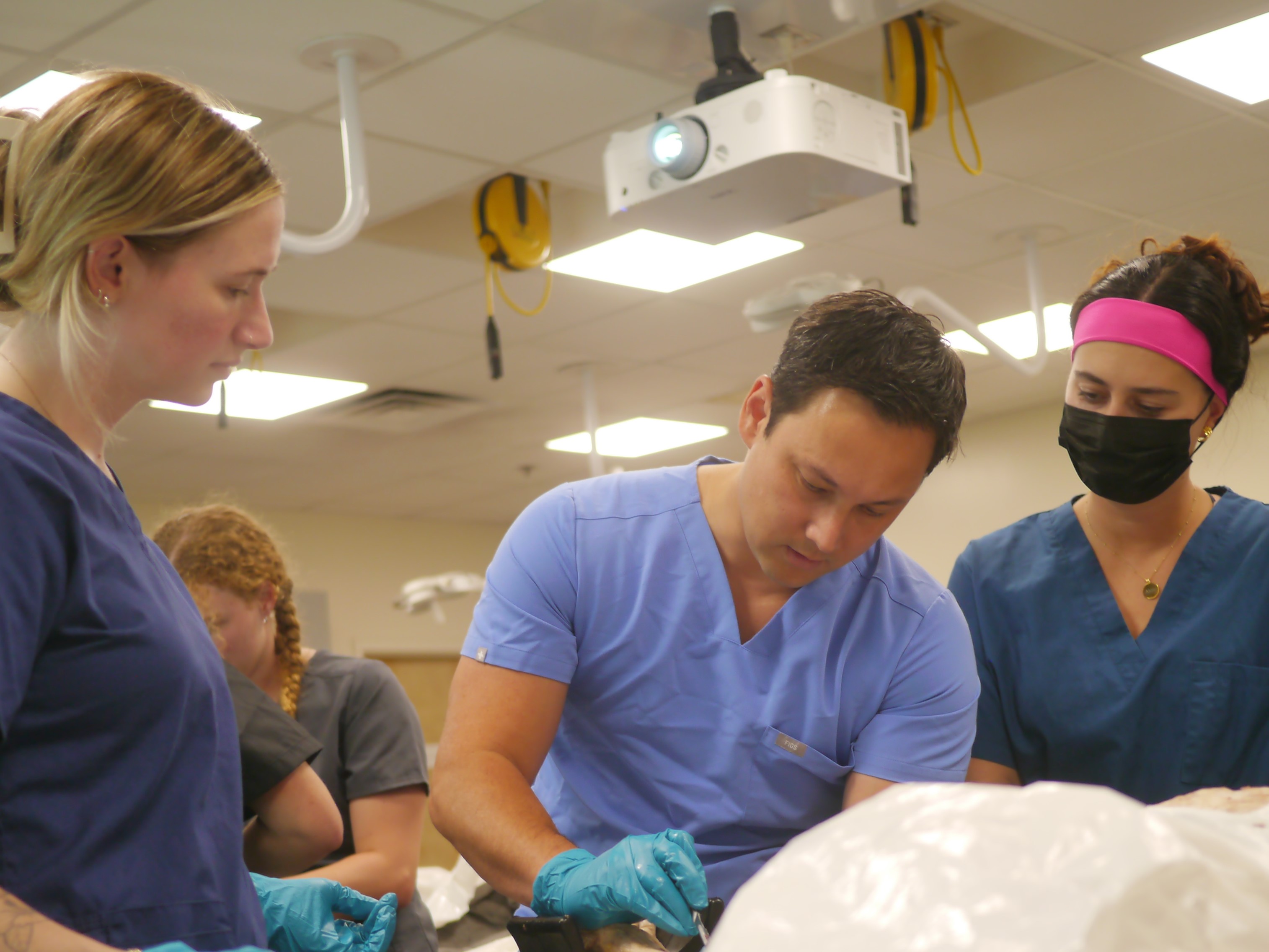 Students Examining the Professors work